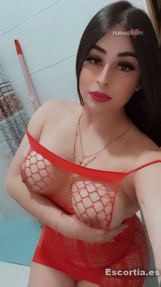 Transexual 20 photo 4