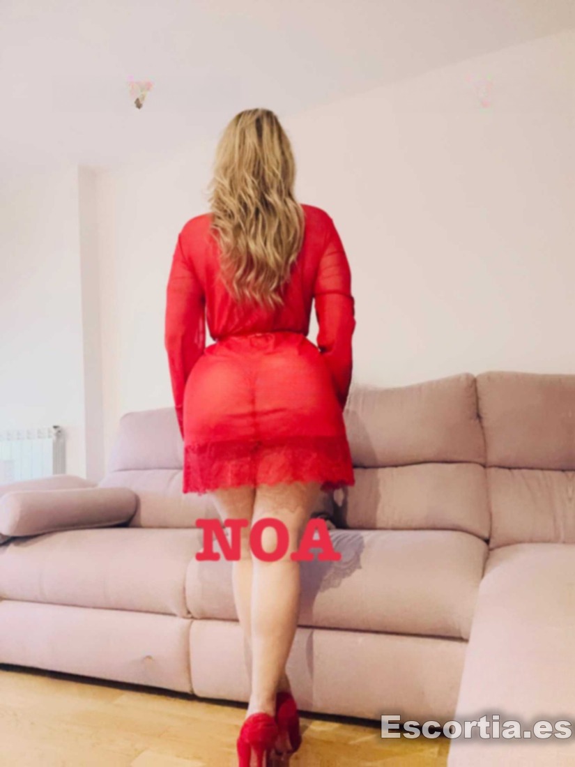 Noa photo 5