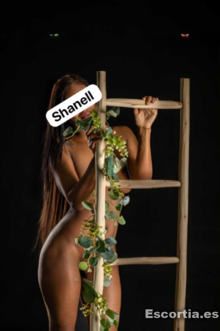 Escort venezolana 23 photo 3