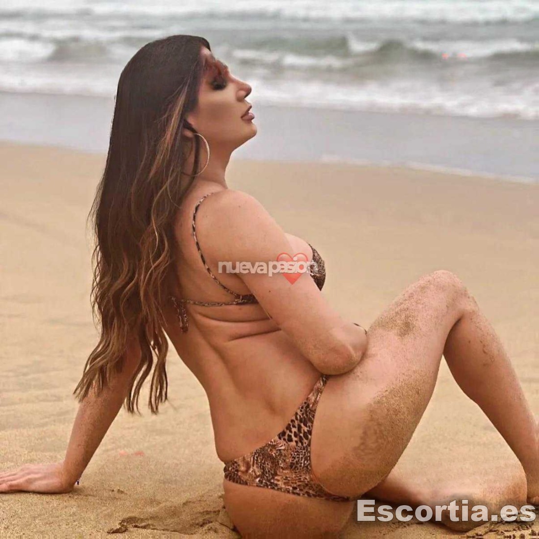 Monique escort Gijón