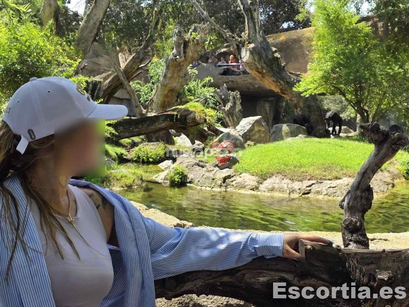 Escort colombiana 23 photo 4