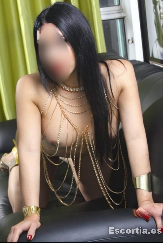 Trans 30 photo 8