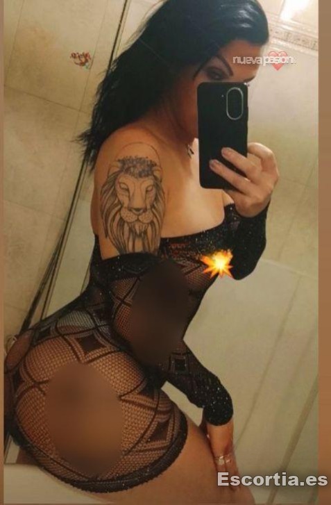 Travesti 35 photo 2