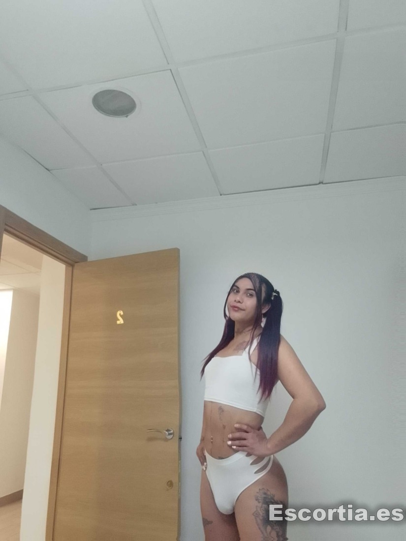 Trans colombiana 19 photo 2