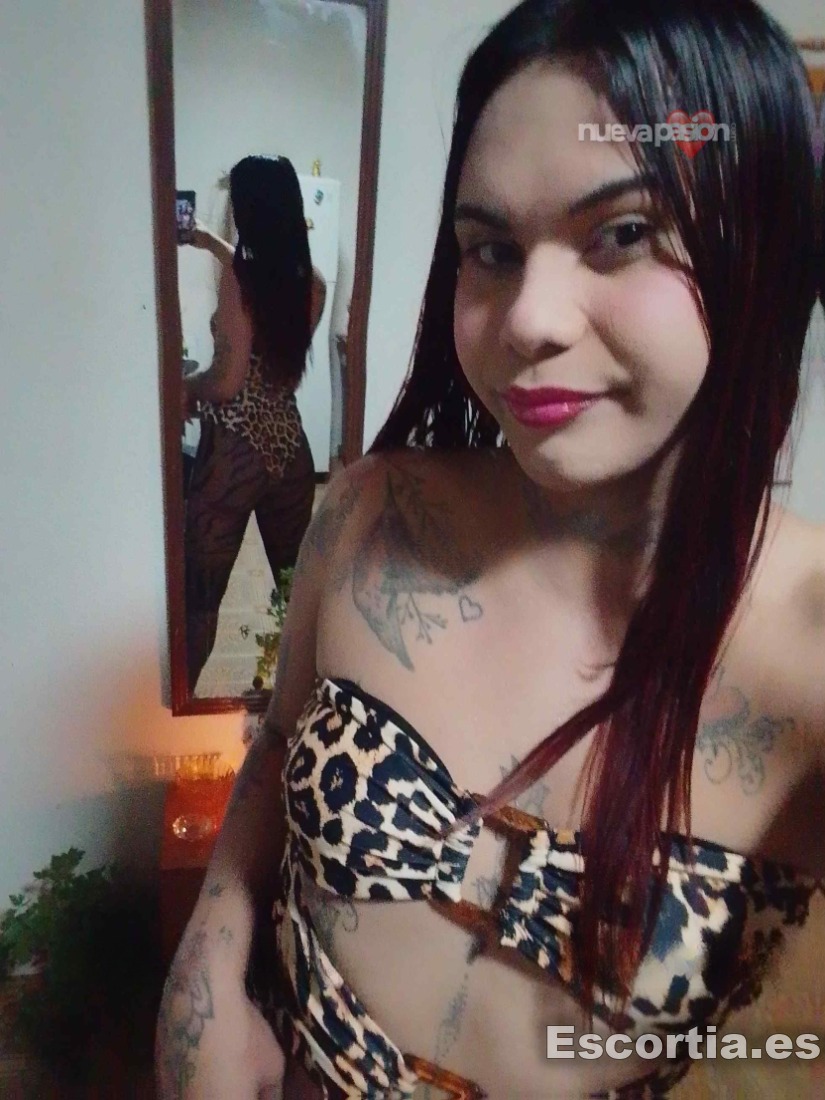 Trans colombiana 19 photo 4
