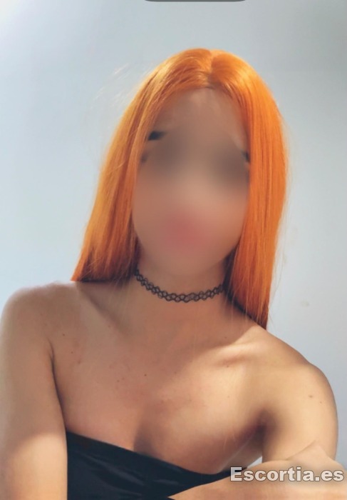 Trans 25 photo 2