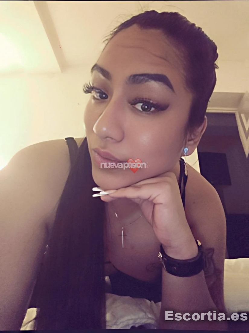 Travesti latina 24 photo 9