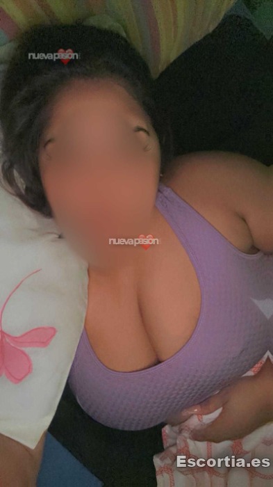 Escort venezolana 30 photo 2