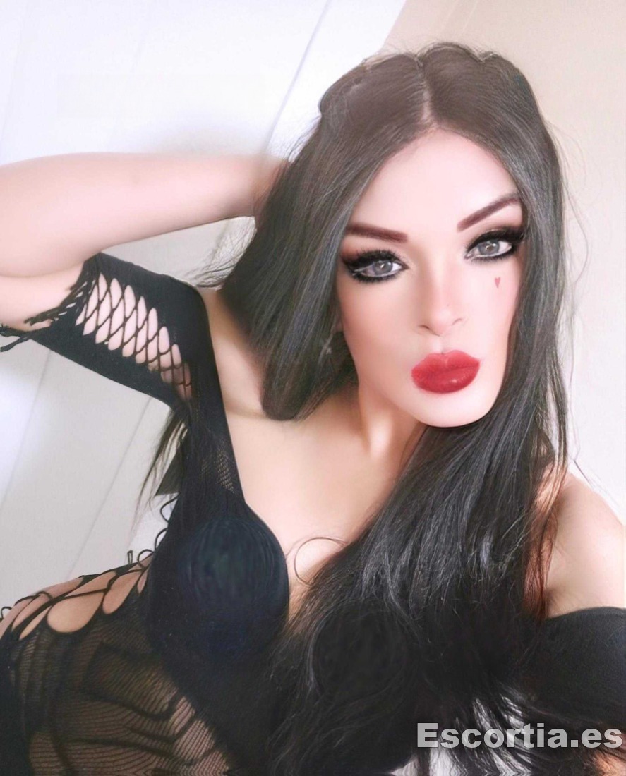 Trans latina 38 photo 4