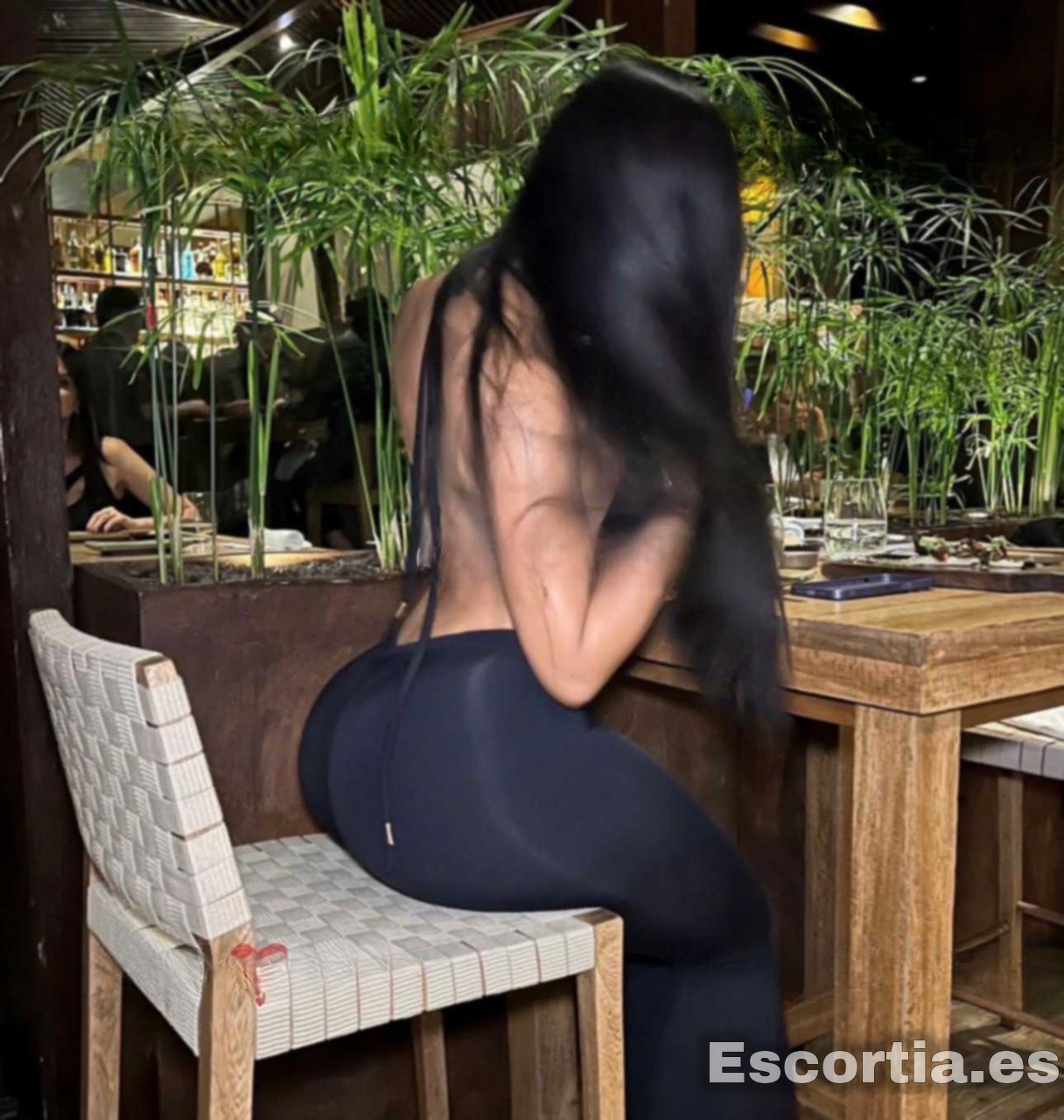 Carol escort Pamplona